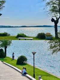 無錫免費躺平寶地！蠡湖渤公島逛吃一整天，紅嘴鷗+湖景絕了