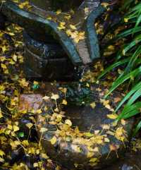 稷山八泉峽旅遊團