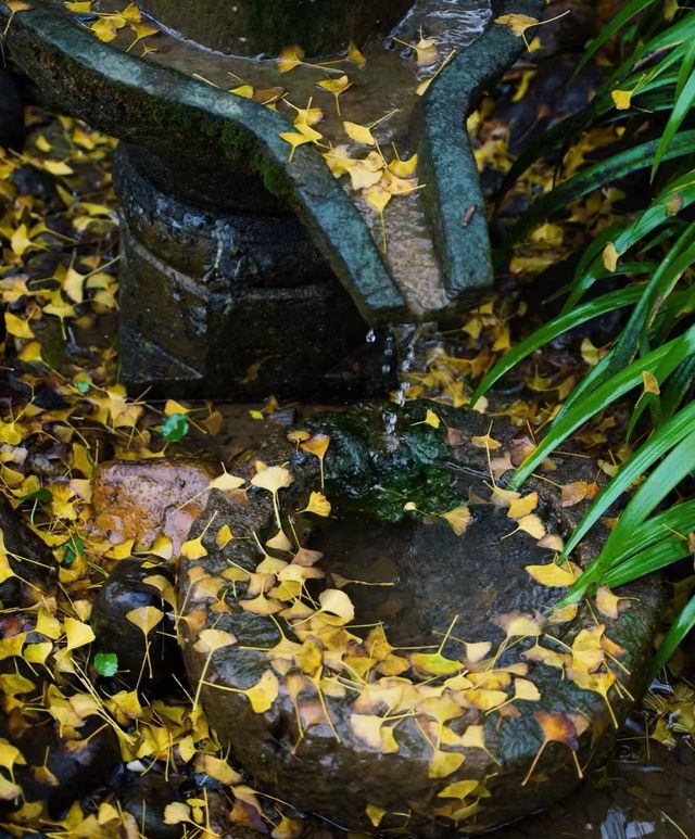 稷山八泉峽旅遊團 稷山八泉峽旅遊團