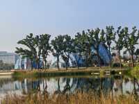 魔都植物園必看攻略櫻花季省時省力玩法