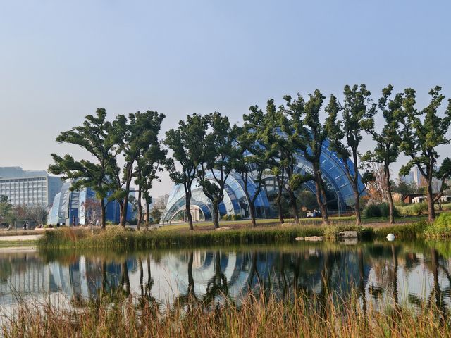 魔都植物園必看攻略櫻花季省時省力玩法