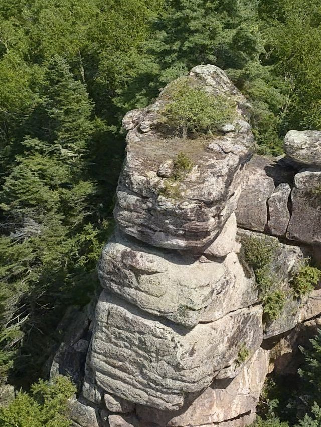 在伊春找到了現實版綠野仙蹤!!|湯旺河林海奇石的一天 在伊春找到了現實版綠野仙蹤!!|湯旺河林海奇石的一天