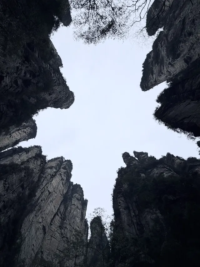 [11.05]跌宕起伏的張家界森林公園·攻略參考