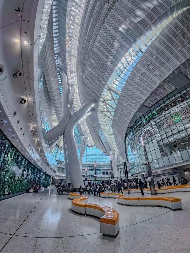 香港西九龍站候車廳美到誤高鐵！建築黨狂喜