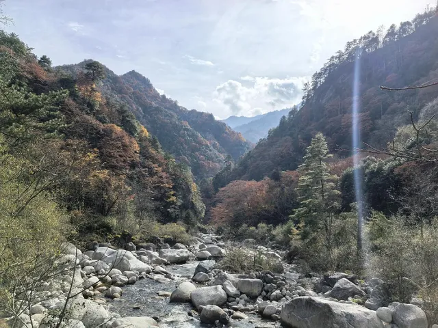 2025年11月16日廣元唐家河