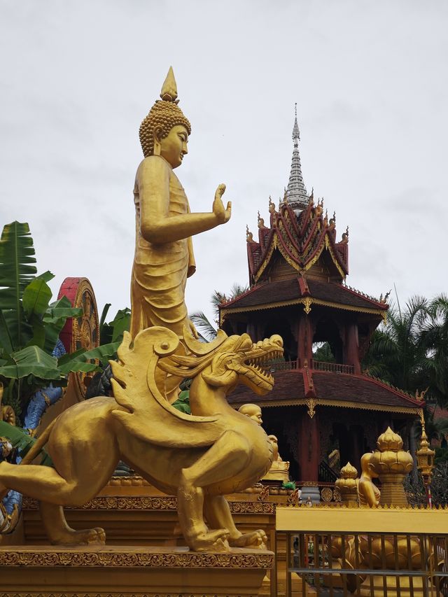 西雙版納市區不得不去的曼聽公園和總佛寺