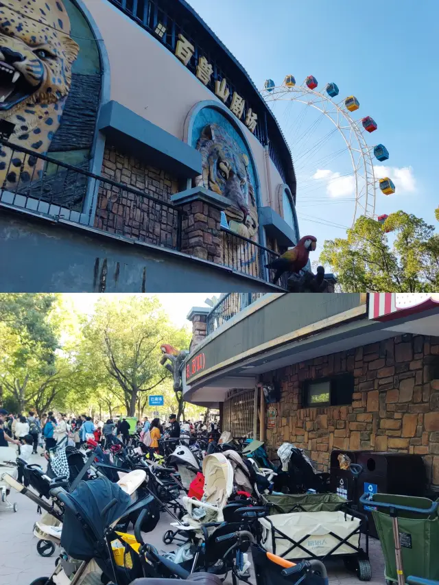 Oh my god! Shanghai Wild Animal Park is such a great place to take kids