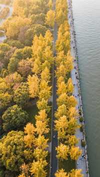 深秋暴走上海｜我在魔都最靜的30天找到人間煙火