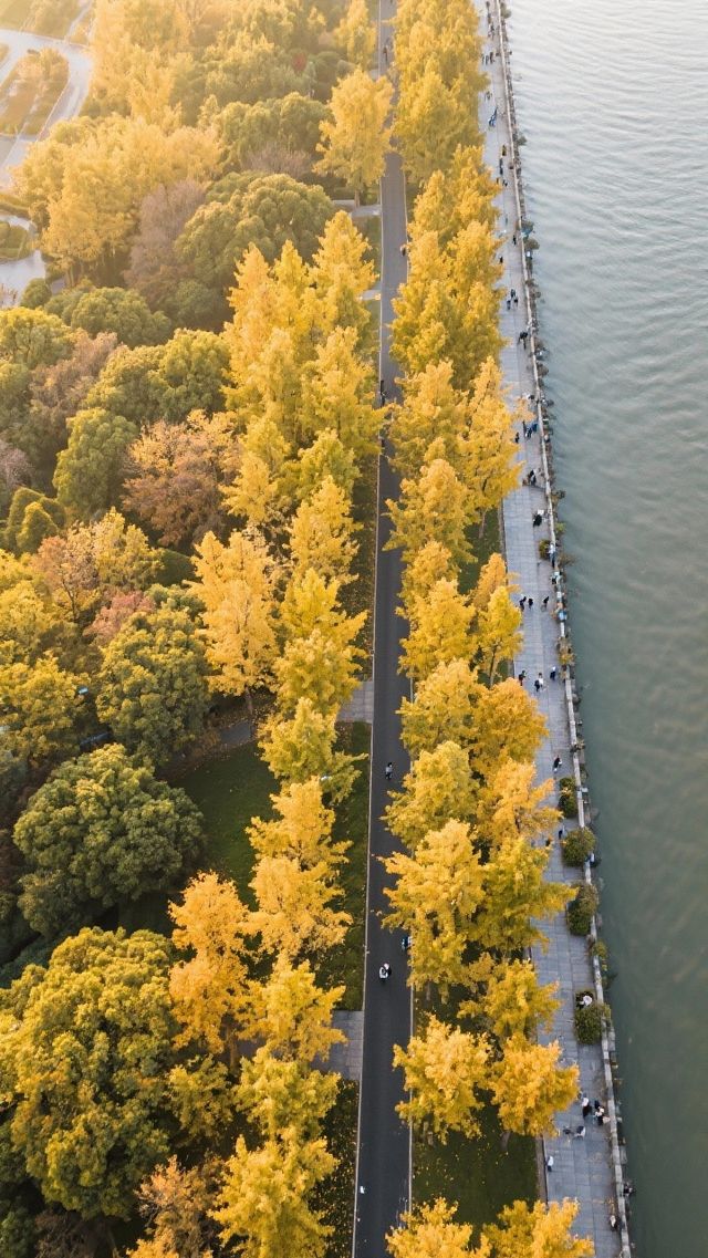 深秋暴走上海｜我在魔都最靜的30天找到人間煙火