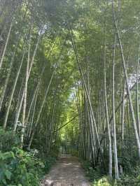 呼狗崖真的是一個敢險要一個又敢玩|再也不去了