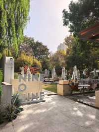 秋日限定!魔都城市氧吧暴走地圖