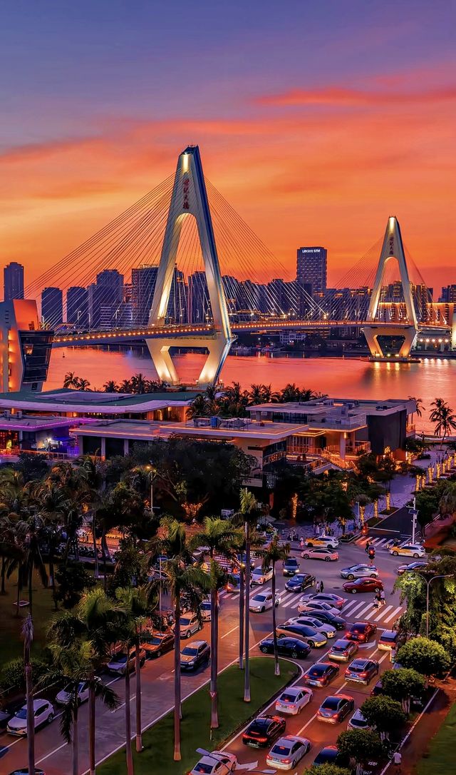 椰林海邊躺平攻略