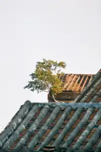 三十三墟街｜闖進600年僑鄉煙火裡