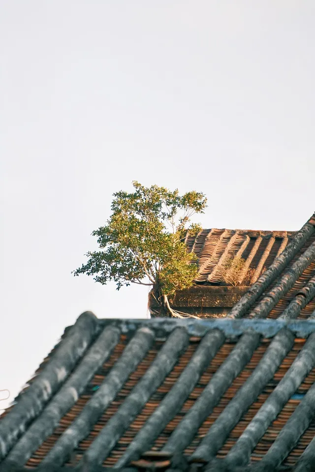 三十三墟街｜闖進600年僑鄉煙火裡