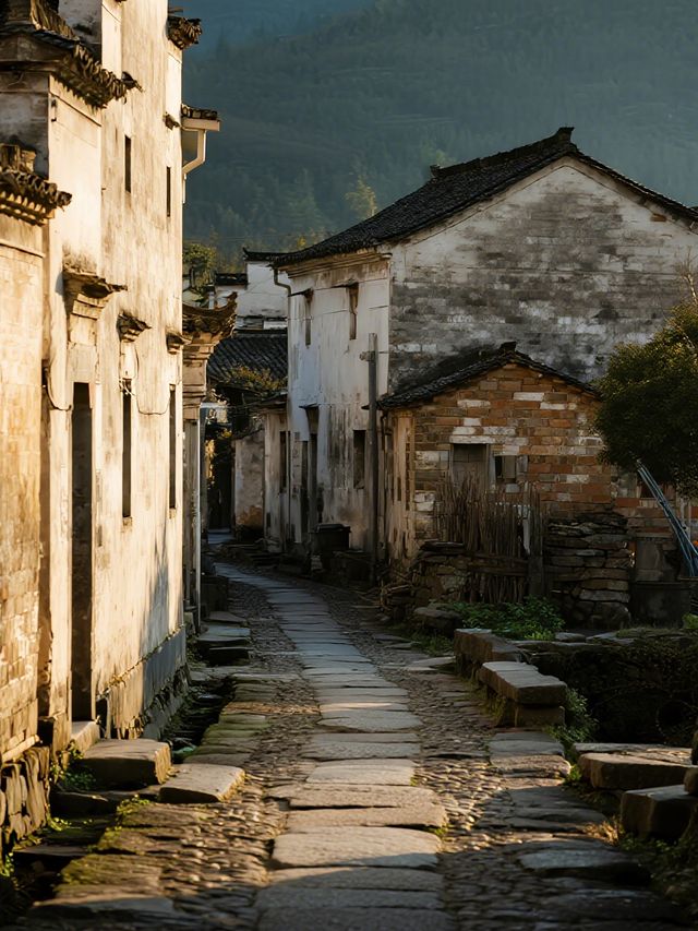 千年古道親子行!箬嶺古道秋日徒步,帶娃賞皖南彩林 千年古道親子行!箬嶺古道秋日徒步,帶娃賞皖南彩林