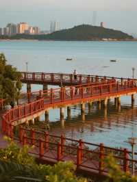 深圳親子紅樹林全攻略！帶娃解鎖5大濕地，觀鳥+日落+騎行