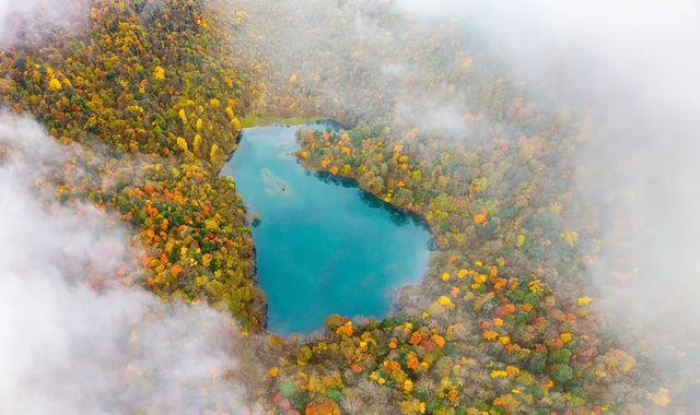 初冬的拖烏山,美得像一場不願醒來的夢 初冬的拖烏山,美得像一場不願醒來的夢