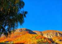 無門票!無停車費!景色絕美!不愧上過央視!