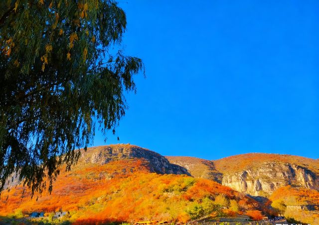 無門票!無停車費!景色絕美!不愧上過央視! 無門票!無停車費!景色絕美!不愧上過央視!