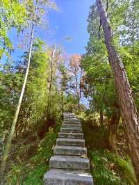 呀，這是什麼地方，這麼美！