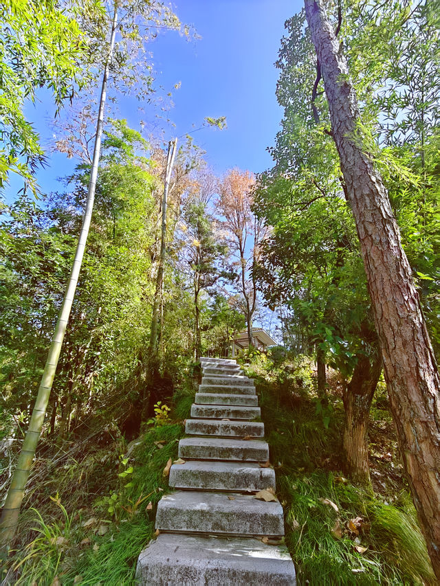 呀，這是什麼地方，這麼美！
