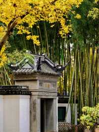 隱秘在魔都的秋日秘境！古漪園賞秋yyds