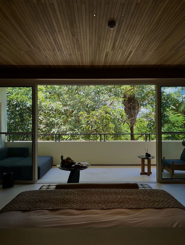 房間很大，酒店很小｜住進西雙版納的熱帶雨林裡度假