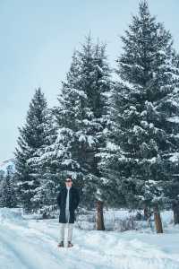 冬天一定要來一次新疆禾木村美得就像童話世界!