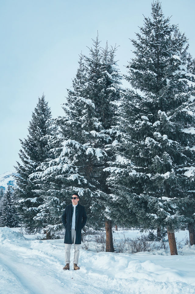 冬天一定要來一次新疆禾木村美得就像童話世界! 冬天一定要來一次新疆禾木村美得就像童話世界!
