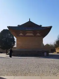 水神廣仁王怎麼了他笑到打鳴+瘋狂拍大腿