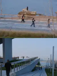 大椽設計新作｜煙台八角灣遊客服務中心