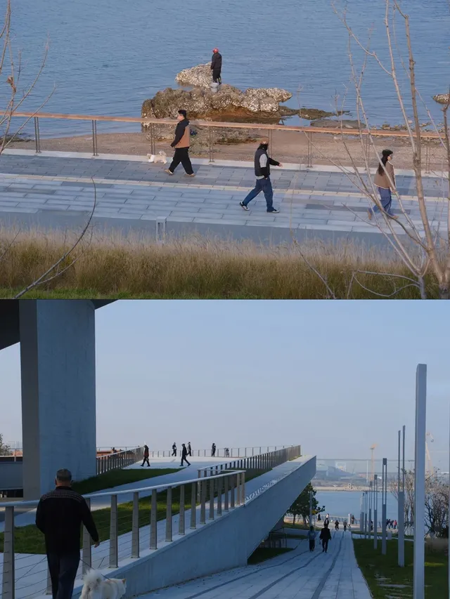 大椽設計新作｜煙台八角灣遊客服務中心