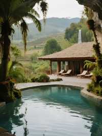 雲南親子度假!版納+普洱8天7晚歡樂之旅