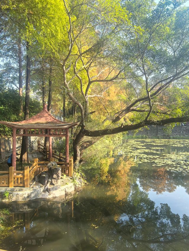 【韶關紅葉季】韶州公園漫步指南童話世界的調色盤在這裡! 【韶關紅葉季】韶州公園漫步指南童話世界的調色盤在這裡!