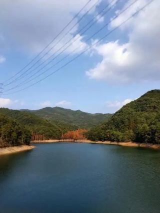 A Silent Love Letter in a Millennium-Old Stone Carving: The Lonely Green Wilderness of Luomo’s Oz