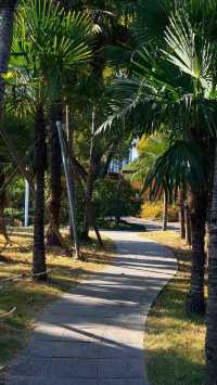 魔都秋日秘境大寧公園的絕美森林太出片了!