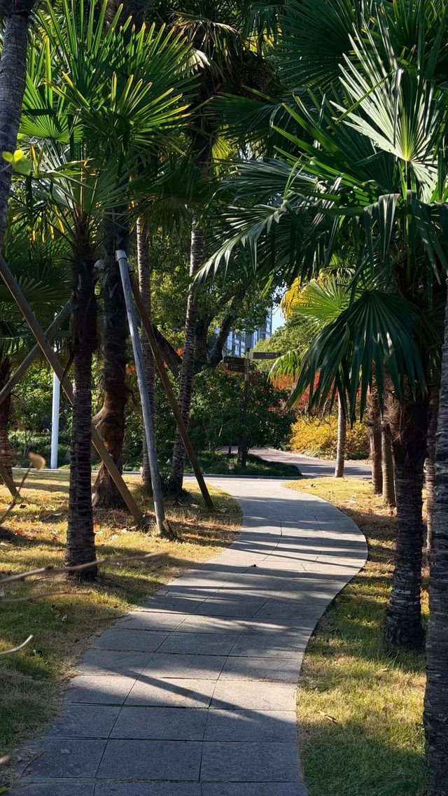 魔都秋日秘境大寧公園的絕美森林太出片了! 魔都秋日秘境大寧公園的絕美森林太出片了!