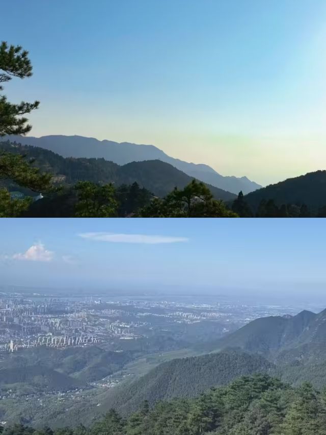 廬山杉與山青民宿：牯嶺鎮的雲端治癒秘境