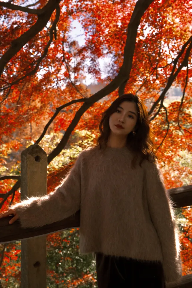 總要去莫干山看一次楓葉吧! 總要去莫干山看一次楓葉吧!