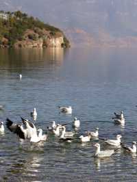 瀘沽湖冬日限定！闖入晨霧裡的遺失仙境