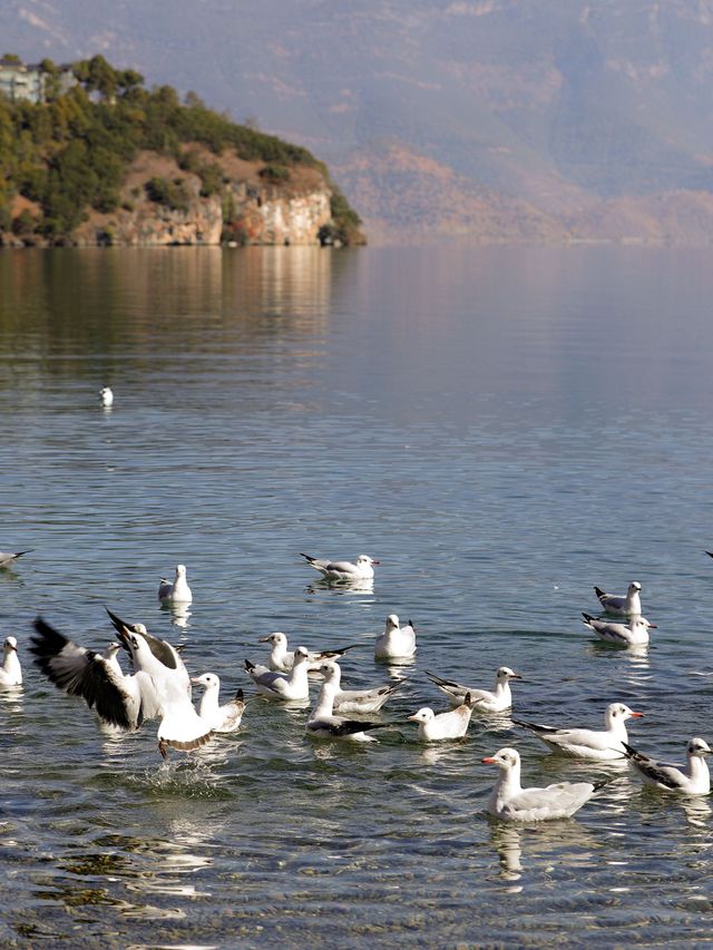 瀘沽湖冬日限定！闖入晨霧裡的遺失仙境