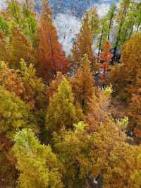 冬遊青島-威海-煙台 美到不想走