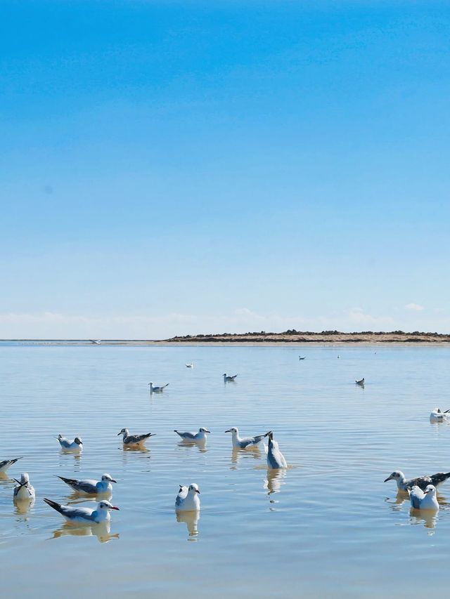 海西6日遊冬天的美太絕了 海西6日遊冬天的美太絕了