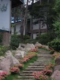 武夷山養巖山房:藏於松林的禪意棲居