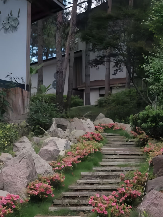 武夷山養巖山房:藏於松林的禪意棲居 武夷山養巖山房:藏於松林的禪意棲居