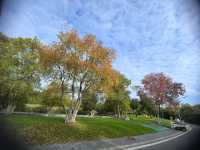 南京綠博園秋日限定藏在城市的絕美秘境