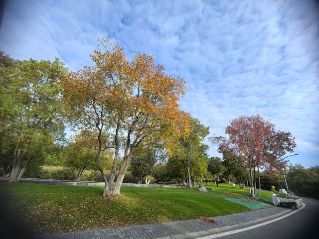 南京綠博園秋日限定藏在城市的絕美秘境 南京綠博園秋日限定藏在城市的絕美秘境