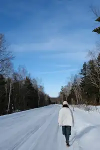 北海道｜美瑛旭川不包車不跟團一日遊