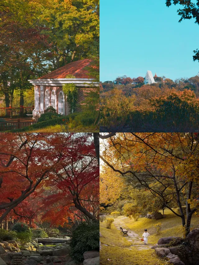 住進青島秋天裡!央視同款路線&沉浸老洋房~ 住進青島秋天裡!央視同款路線&沉浸老洋房~