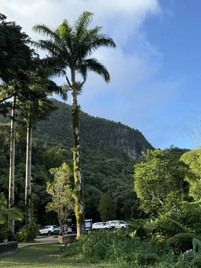 波多黎各遊玩，建議及避坑